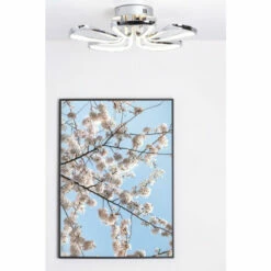 BHS Lighting Alvar Flush Ceiling Light For Unisex -BHS Lighting Sales Store unnamed file 2506