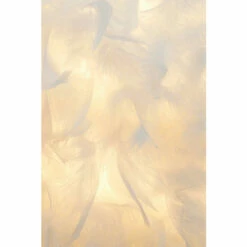 BHS Lighting Plume Table Lamp For Unisex -BHS Lighting Sales Store unnamed file 2517