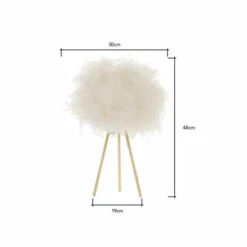 BHS Lighting Plume Table Lamp For Unisex -BHS Lighting Sales Store unnamed file 2519