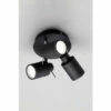 BHS Lighting Hector Plate Spotlight Ceiling Light For Unisex